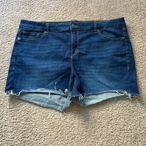 Torrid denim shorts